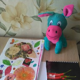 ���� �����, �����, 52 ���� - ��������� 27 ���� 2024