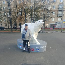 , 52, 