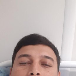 , 33, 