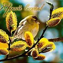 ���� ����, ����� - ��������� 11 ���� 2026 � ������ ���� ����������