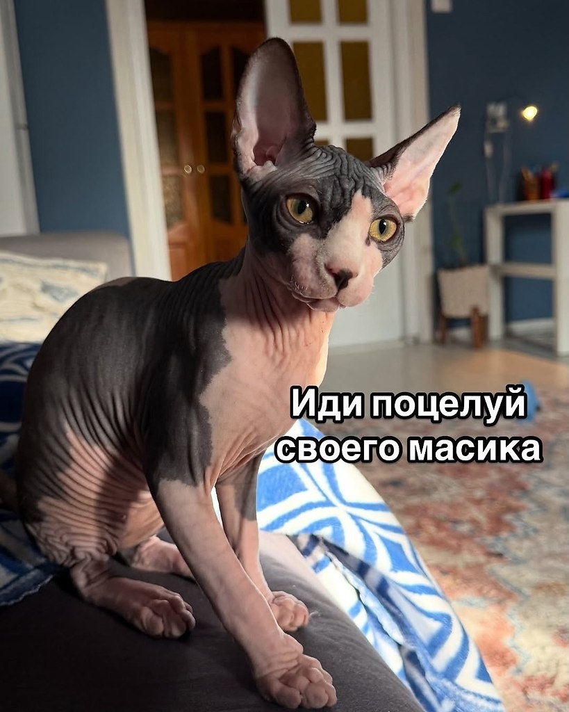   - 10  2025  21:17 - 4