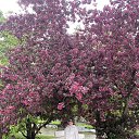 ���� ������, �����������, 46 ��� - ��������� 6 ��� 2025 � ������ ���� ����������