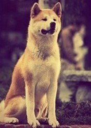 Jan A.P. Kaczmarek – To Train Together