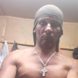 ���� ����, ����, 48 ��� - ��������� 22 ������� 2026