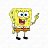 ���� ����, �������, 48 ��� - ��������� 19 ���� 2026