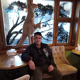, 41 , 