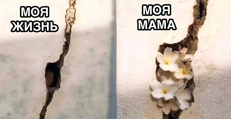 ,  ... - 2