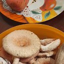 ���� ����, �����-��������� - ��������� 18 ������ 2025 � ������ ���� ����������