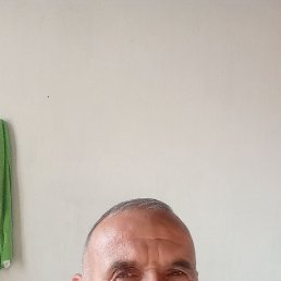 , 53, 