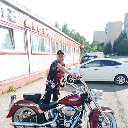 Tatarin, 42, 