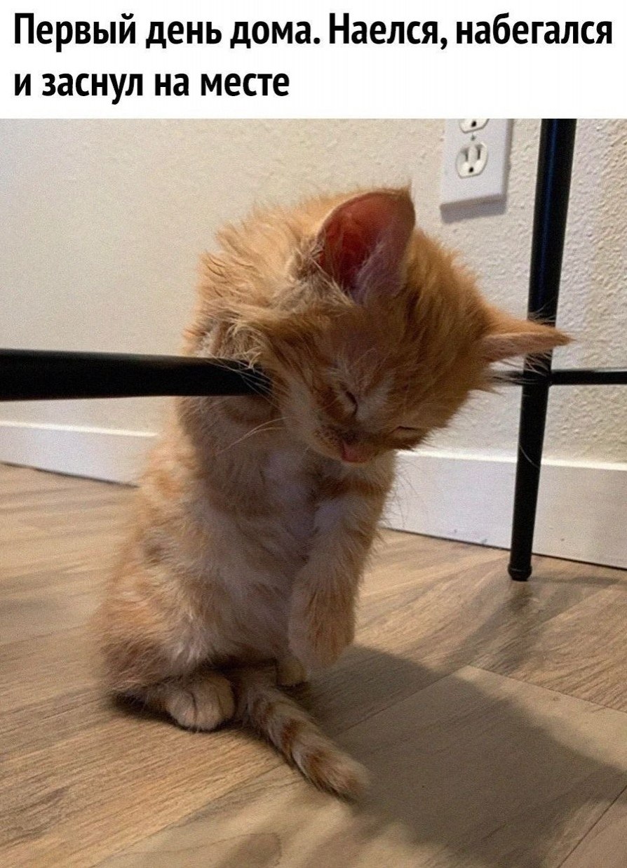 Геннадий - 28 октября 2025 в 15:05