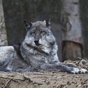 ���� �����, ��������, 78 ��� - ��������� 13 ������� 2025 � ������ ���� ����������