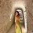 ���� ��������, ���������, 28 ��� - ��������� 31 ������ 2025