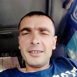 , 40, 