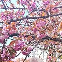 ���� �������, ����, 69 ��� - ��������� 14 ������ 2026 � ������ ���� ����������