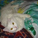 ���� *Aleksandr*, �����������, 48 ��� - ��������� 22 ������ 2025 � ������ ���� ����������