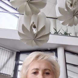 , 66, 