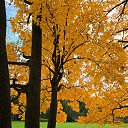���� �����, �����-���������, 54 ���� - ��������� 16 ������ 2025 � ������ ���� ���