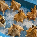 ���� Vika, ���� - ��������� 20 ������ 2026 � ������ ������ ��������, �������.�