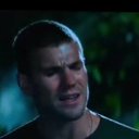 ���� ��������, ���������, 36 ��� - ��������� 21 ������� 2023 � ������ ���� ����������