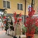 ���� ����, ��������, 38 ��� - ��������� 16 ����� 2025 � ������ ���� ����������