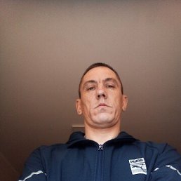 �����, 41 ���, ������