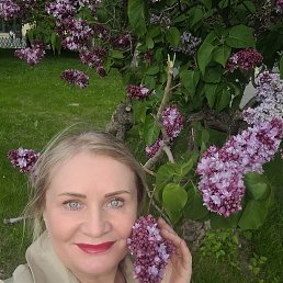 ���� �����, �����������, 55 ��� - ��������� 26 ��� 2024