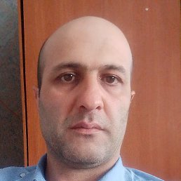 ����, ������, 41 ���