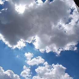 ���� ������, �������, 61 ��� - ��������� 15 ��� 2026