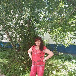 ����, �����, 65 ���