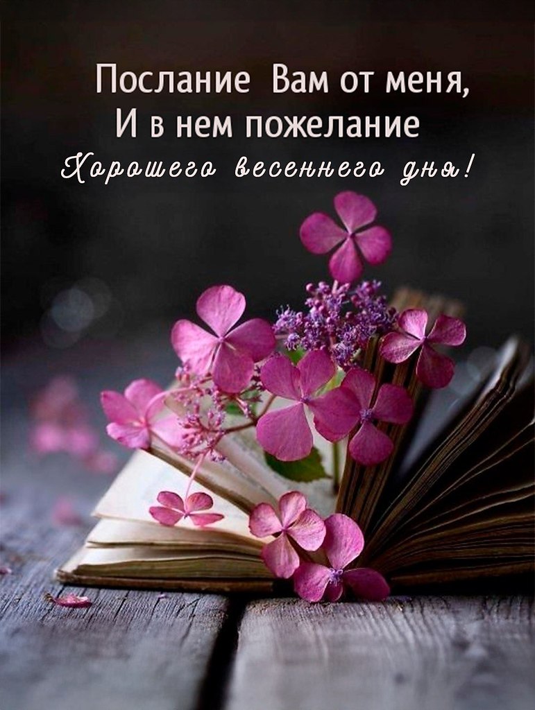 ПРИВЕТСТВИЯ и ПОЖЕЛАНИЯ, открытки на каждый день. - 25 марта 2025 в 13:39