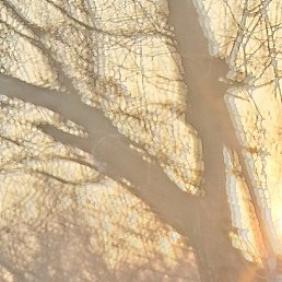 �����, �����, 47 ���