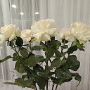 ���� �����, ����� - ��������� 18 ����� 2024 � ������ �����
