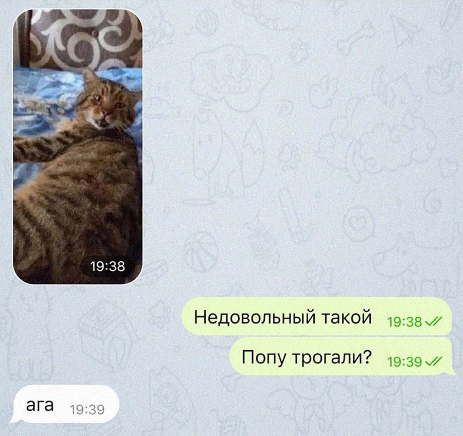 �� ������!
