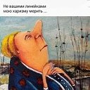 ���� ��������, ����, 68 ��� - ��������� 17 ���� 2024 � ������ ������ ��������