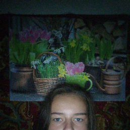 , 17, 