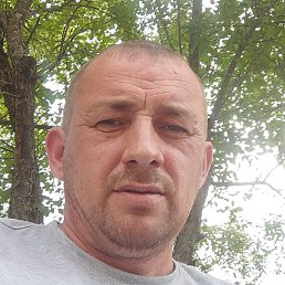 �������, �����, 45 ���