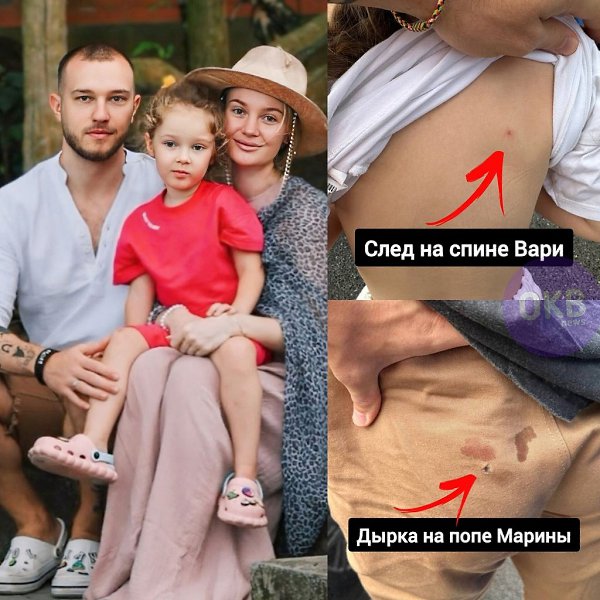 На блогерскую семью