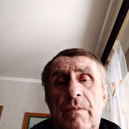 , 65, 