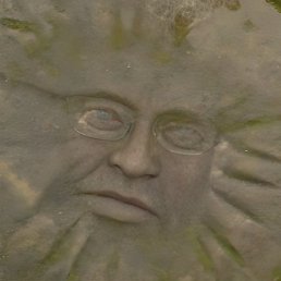 ������, ���������, 55 ���