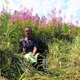 ��������, ������