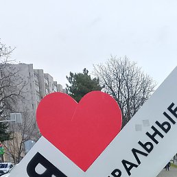 �������, ������, 43 ����