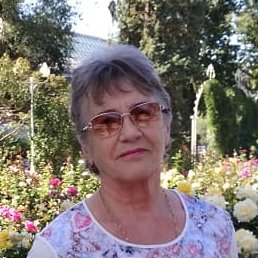 ����, ������, 81 ���