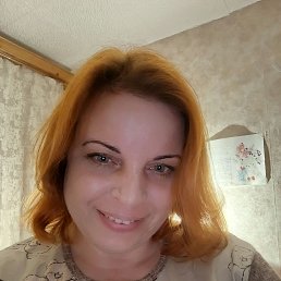 �����, 41 ���, �����