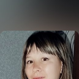 , 41, 