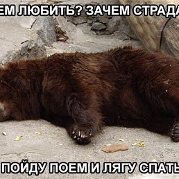 ����, �����, 36 ���