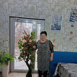 , 59, 