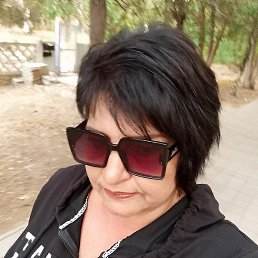 ����, �������, 54 ����