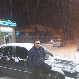 Tiko, ������, 41 ���