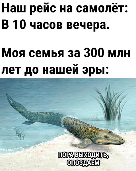  - 12  2024  08:34